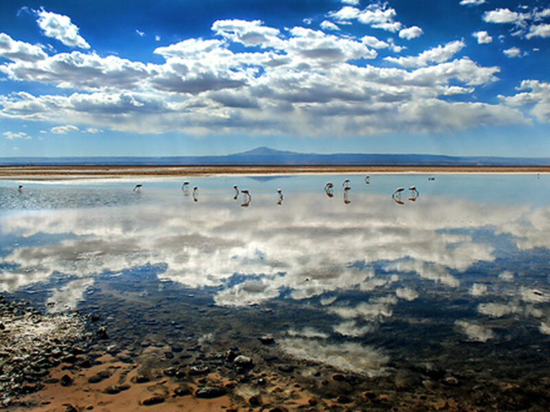 Photo: toursanpedrodeatacama.com
